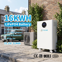 Batería Híbrida Apilable LiFePO4 de 15kWh 16kWh de Fácil Instalación, Paquete de Iones de Litio de 51.2V 300Ah para Almacenamiento de Energía Doméstica con BMS PACE