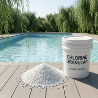March EXPO Pure White Hard Pressed Slow Dissolving 99% Kemurnian Tinggi Pengolahan Air Kolam Renang Pembersih Kolam Granular