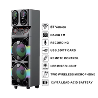 Haut-parleur de karaoké Bluetooth avec micro sans fil, grandes enceintes pour fêtes DJ en extérieur, haut-parleur de karaoké avec micro DR1021