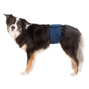 Bande abdominale pour chiens mâles S 2937 cm bleu foncé, couche pour animaux de compagnie - Product Image 1
