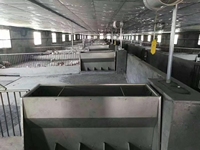 Nouvel équipement d'élevage de bétail porcin Cages pour animaux Cages pour animaux Cages pour porcs d'engraissement Caisses de finition pour les solutions d'élevage