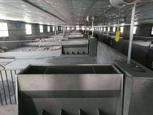 Yeni hayvancılık domuz yetiştiriciliği ekipmanları Wean-to-Finish tezgahları hayvancılık çözümleri için kasalar bitirme domuz besi hayvan kafesleri - Product Image 2