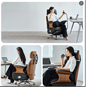 Luxury Ergonomic Office Chair with 160° Recline, USB Charging, Massage Lumbar <b>Support</b> & Adjustable Height - Product Image 5