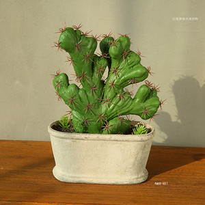 <span class=keywords><strong>Precio</strong></span> al por mayor <span class=keywords><strong>de</strong></span> cactus <span class=keywords><strong>de</strong></span> un nuevo <span class=keywords><strong>desierto</strong></span> tropical <span class=keywords><strong>de</strong></span> simulación - Product Image 2