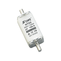 Capacité de rupture élevée 32A Lame de cuivre en céramique évaluée NH00 Fusible Matériau en porcelaine Lien de fusible carré