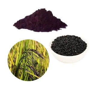 Organic products Hot Selling Vegan Plant Protein Powder Organic Black Rice Powder For Supplement
