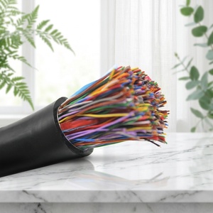 Câble téléphonique extérieur <span class=keywords><strong>multipaire</strong></span> Aixton Cat3 avec conducteur en cuivre nu rempli de gel, modèle Aixton - Câble téléphonique 100 paires - Product Image 5