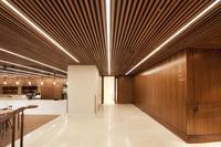Grille de plafond moderne en aluminium avec déflecteur acoustique pour projets hôteliers et de bars