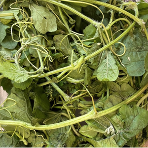 Feuilles de melon amer séchées de haute qualité/séchées au soleil/approvisionnement en vrac OEM pour l'industrie du thé aux herbes - Product Image 1
