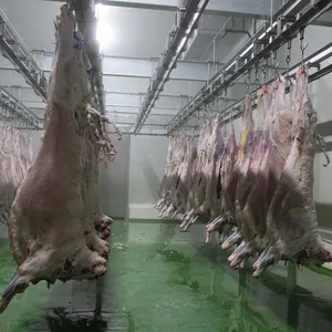 Keçi mezbaha ekipmanları koyun eti işleme makineleri karkas koyun eti işleme için demiryolu taşıma