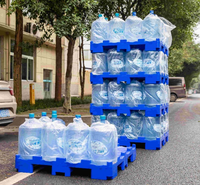 Palette Euro en plastique HDPE robuste et durable pour le transport en entrepôt de bouteilles d'eau de 5 gallons