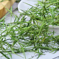Teh Herbal Daun Bambu Grosir Massal Batch Baru Gratis Ongkir 500g Teh Daun Bunga Buah Kemasan Longgar Penyimpanan Dingin