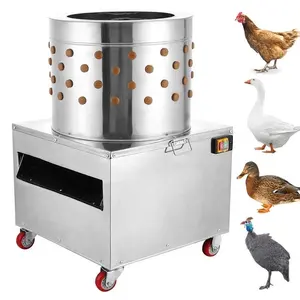 Find High-End Chicken Plucker in Canada For All Business Types
