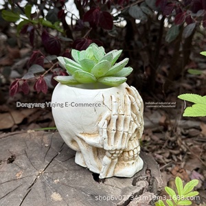 Maceta con diseño de calavera pastoral, sin motivos decorativos, para suculentas, decoración para el hogar y exteriores, de resina sintética - Product Image 4
