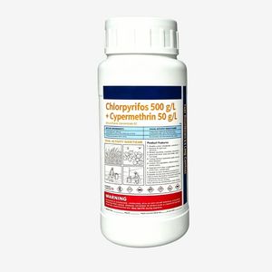 Clorpirifos 500 g/L + <span class=keywords><strong>Cipermetrina</strong></span> 50 g/L EC, <span class=keywords><strong>Insecticida</strong></span> Compuesto de Piretroides Organofosfáticos, Pesticida para el Control de Plagas - Product Image 1