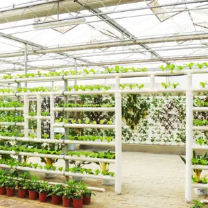 Sistema hidropónico Nft para interiores, sistema Vertical de bajo coste para cultivo de acuaponia para vegetales