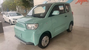 2025 Cheetah CS01 Mini-Elektroauto Praktischer Kompaktwagen mit Lithium-Batterie-Antrieb Neues Energiefahrzeug - Product Image 2