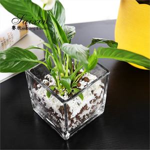 ZT-227 गर्म बिक्री वेडिंग गृह सजावट सस्ती कीमत के साथ वर्ग स्पष्ट गिलास फूलदान - Product Image 4