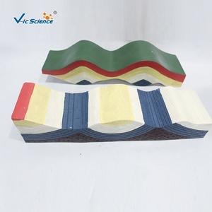 Modelo Demostrador de Movimiento de Cinturones Tectónicos, Modelo de Enseñanza de Geología para Tectónica de Placas, Faldas y Grietas - Product Image 4