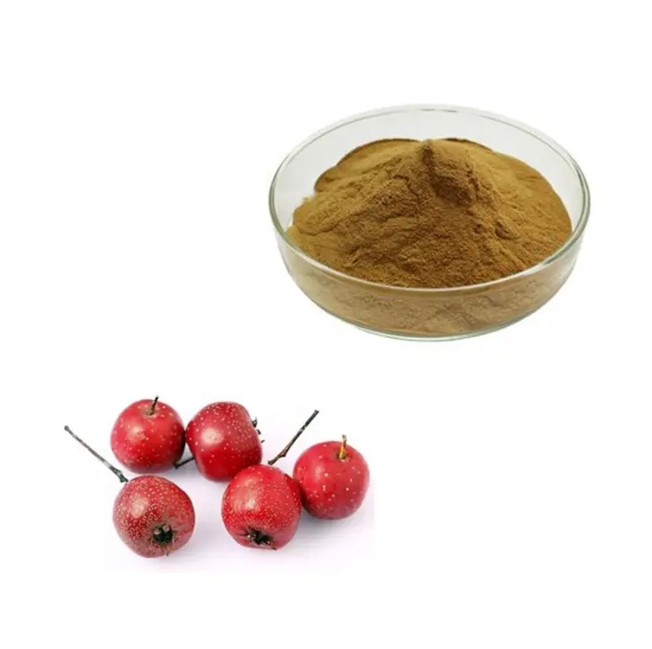 Bio Hawthorn Berry Juice Frucht extrakt 25% Flavone Powder