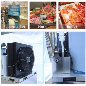 Energy-Saving Air-Cooled <strong>3</strong> <strong>Ton</strong>/Day Output Snow Flakes <strong>Ice</strong> Maker <strong>Machine</strong> for Seafood - Product Image 3