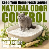 Pasir Kucing Tepung Singkong Daya Serap Tinggi, Pengendalian Bau Kuat, Ringan, Dapat Dibuang di Toilet, Biodegradable, Aroma Sesuai Pesanan