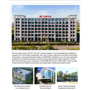 칼레티쿨린-프로마비오 마우스 단일클론항체, -20도에서 12개월 동안 유효, WB/IHC/IF/FCM 적용 가능 - Product Image 6