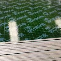 Spécifications complètes, contreplaqué durable de première qualité, moderne, résistant à l'eau, recouvert de polypropylène, film plastique vert