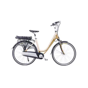 Elektrische Bicyclebafang 36V 250W Max Mid Drive Systeem Voor Elektrische Fiets, stad Stijl E-Bike 250W Elektrische Fiets Ebike Voor Volwassen