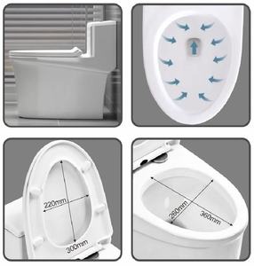 Inodoro Personalizado Económico CHANDA con Descarga Manual, Acabado Mate - Product Image 3