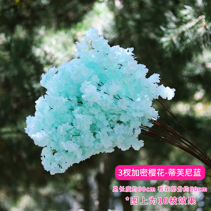 Trident Tiffany Bleu