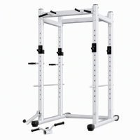 Rack de Squat Multifonctionnel et Cage de Musculation pour Salle de Sport à Domicile, Garage ou Studio de Fitness avec Barre de Traction, Station de Dips et Fixation Landmine