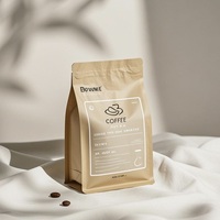 Recyclable Compostable 250g 500g 1kg Flat Bottom Packaging Valve Instant Coffee Printed Plastic Bags