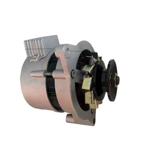 Conjunto de Alternador 1500v 12v 14v para Reemplazo y Reparación - Product Image 1