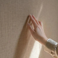 Panneau mural moderne en PVC, panneau imperméable, design intérieur, chambre à coucher, salle de réception, tissu en coton, WPC, charbon de bambou