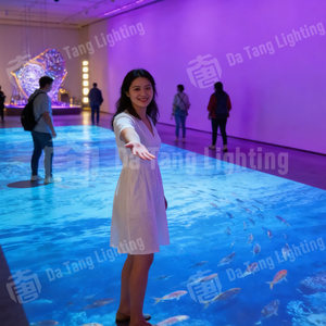 Sistema de Medios Interactivos con Seguimiento de Movimiento para Pisos, para Tiendas Minoristas, Museos, Eventos, Exposiciones y Zonas de Experiencia de Marca - Product Image 6
