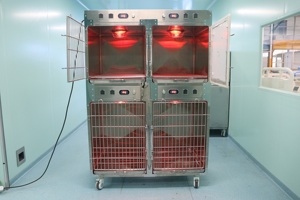 CH Haute Qualité Moderne De Luxe 304 En Acier Inoxydable Pliable Sécurisé Résistant À L'eau Chien Cage En Plastique Plateau Simple Conception Vétérinaire - Product Image 4