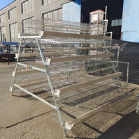 Nuevo gallinero de acero galvanizado tipo A para 1000 aves, jaula de malla flexible para gallinas ponedoras, fabricación de 2 años de duración