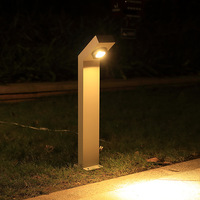 Les fabricants produisent des lampes d'éclairage pelouse 110*65*600 simple LED projet argent herbe lumières