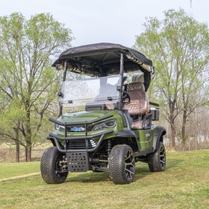 Carrito de Golf Personalizado de Lujo para 2 Pasajeros, Diseño de Alta Capacidad, con Capacidad para hasta 4 Pasajeros en Confort D - Product Image 4
