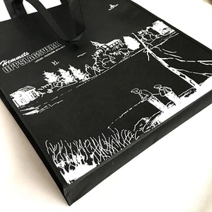 Túi Mua Sắm Bằng Nhựa Không Dệt Xách Tay Thân Thiện Với Môi Trường Thời Trang Mới Được Ưa Chuộng Hàng Đầu Giảm Giá - Product Image 4