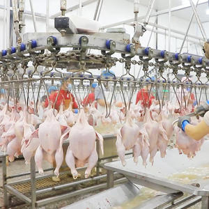 Kip Kleine Mobiele Slachteenheid - Product Image 6