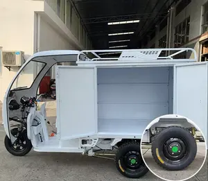 Dc Powered Electric Refrigerating Tricycle Box Cargo Use Tricycle Refrigerated With Refrigerator