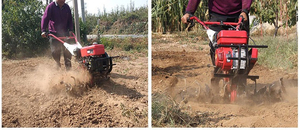 Entraînement manuel par <span class=keywords><strong>courroie</strong></span> 7hp 12hp 178f moteur <span class=keywords><strong>diesel</strong></span> sol de jardin cultivateurs de Chine mini motoculteur - Product Image 3