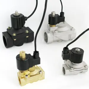 Darhor IP68 impermeable natación pobre bajo el agua latón SS fuente de plástico válvula solenoide 24V 220V - Product Image 1