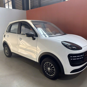 Voiture électrique miniature à faible vitesse et prix abordable pour deux passagers âgés - Product Image 1