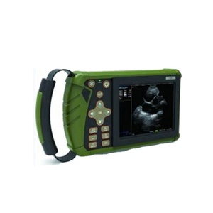 BT-UDV6 Bestran Schapenkoeien Paarden Dieren Usg Veterinair Apparaat Dierenarts Apparatuur Draagbare Echografie Machine Scanner - Product Image 3