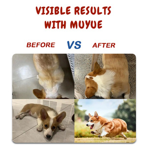Customized Capsule 25Ml Bottles Electrolytic Bottle B Powder Eye Coa Vitamin Ad3E <strong>Dog</strong> Pet Vitamins <strong>Uk</strong> <strong>for</strong> Pets - Product Image 5