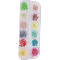 Fleurs séchées pour nail art, style japonais et français, été, brillantes, fines, paillettes 3D, gypsophile, grandes fleurs, 12 couleurs, petites marguerites, feuilles vertes