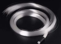 Cable de Fibra Óptica con Revestimiento de PVC Negro de 4.0 mm, con Extremo Luminoso, para Iluminación Subterránea
